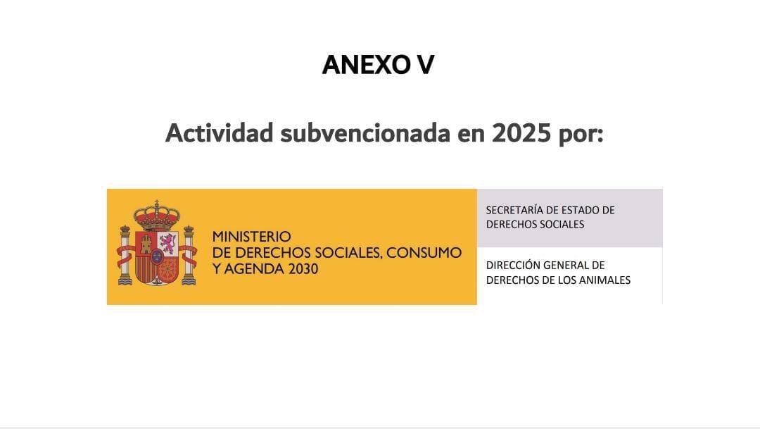 ACTIVIDAD SUBVENCIONADA EN 2025
