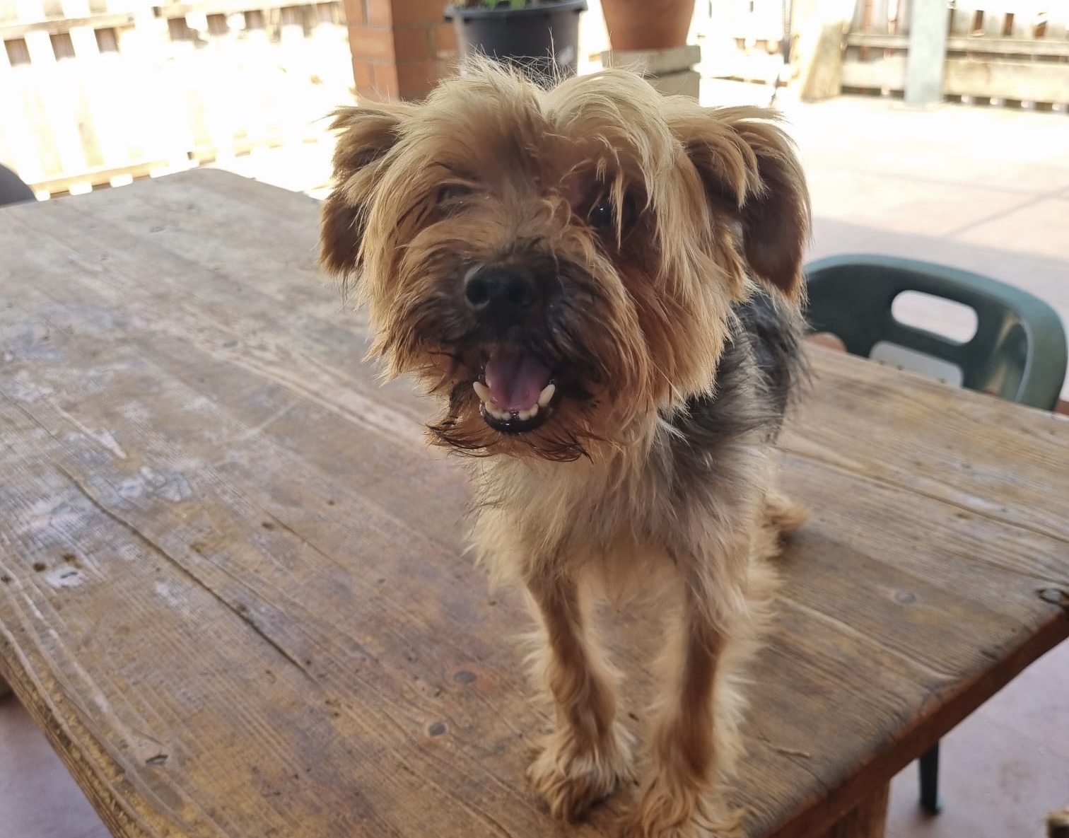 Juanito